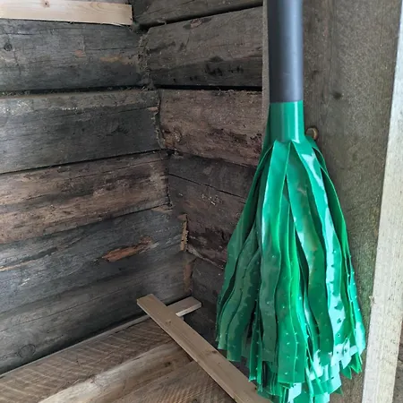 Santa's Reindeer 拉努阿