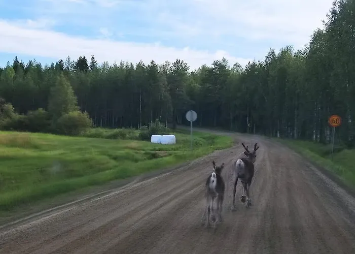 בקתה Santa's Reindeer ראנואה