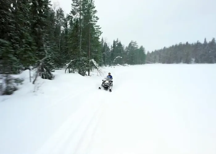 Santa's Reindeer * ראנואה